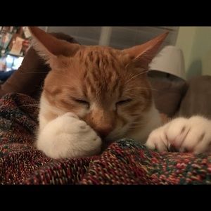 Meet your Posher, Jan